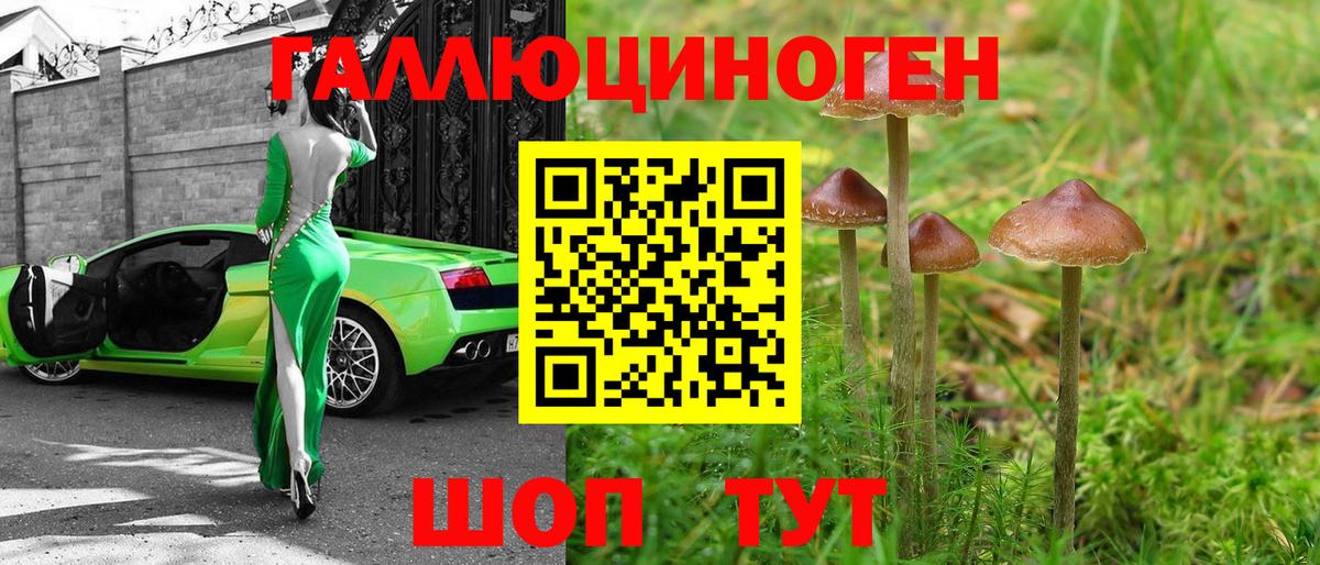 Галлюциногенные грибы мицелий Большой Камень